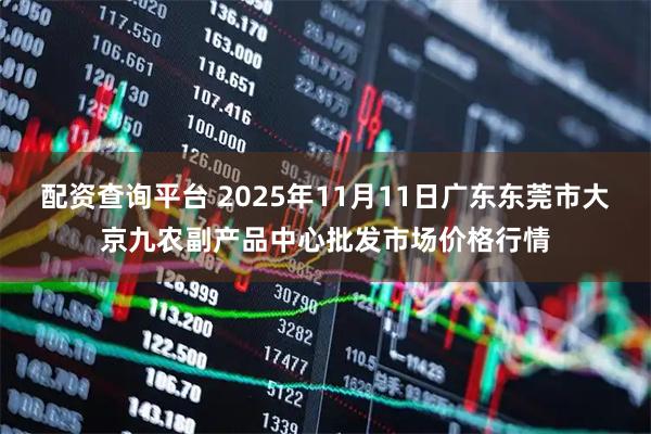 配资查询平台 2025年11月11日广东东莞市大京九农副产品中心批发市场价格行情